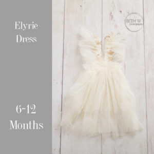 Elyrie Dress in 6-12 Months