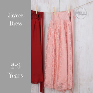 Jaycee Dress in 2-6 Years