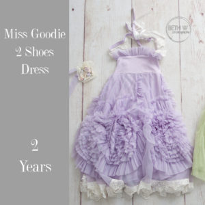 Miss Goodie 2 Shoes Dress in 2 Years