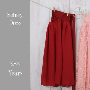 Sidney Dress in 2-6 Years