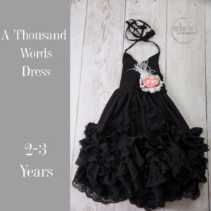 A Thousand Words Dress in 2-3 Years