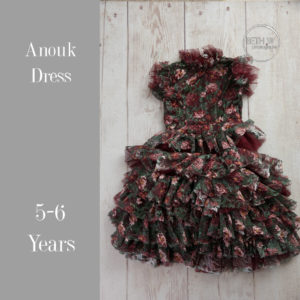 Anouk Dress in 5-6 Years