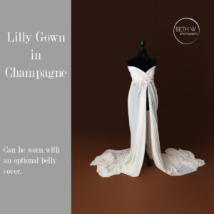 Lilly Gown in Champagne